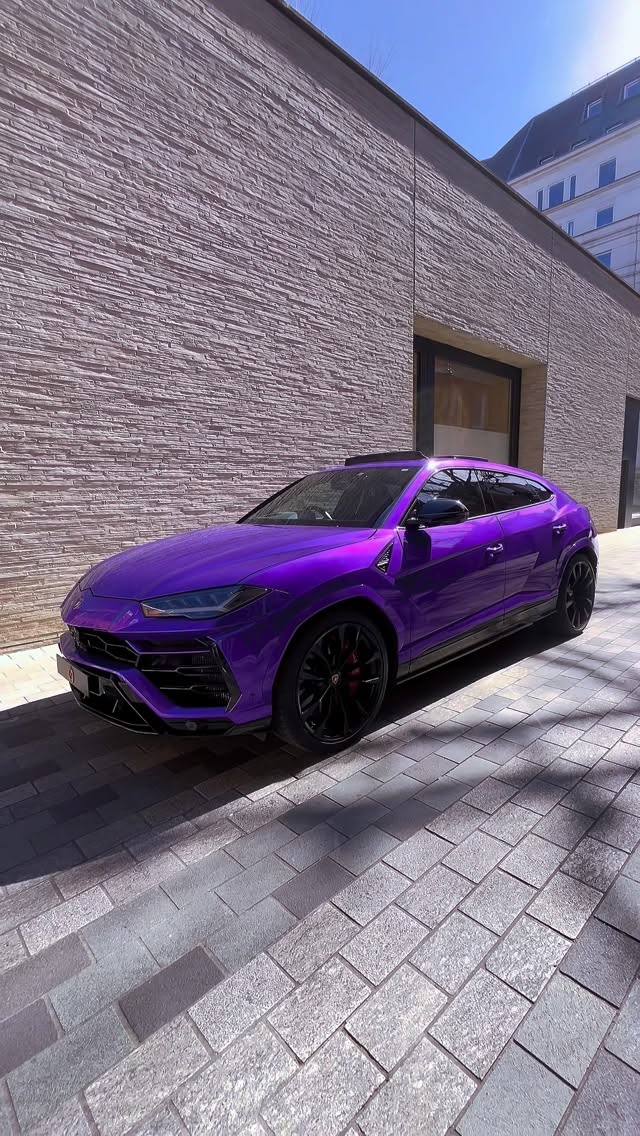 670410090 1170377261780499 2480187530222872881 n