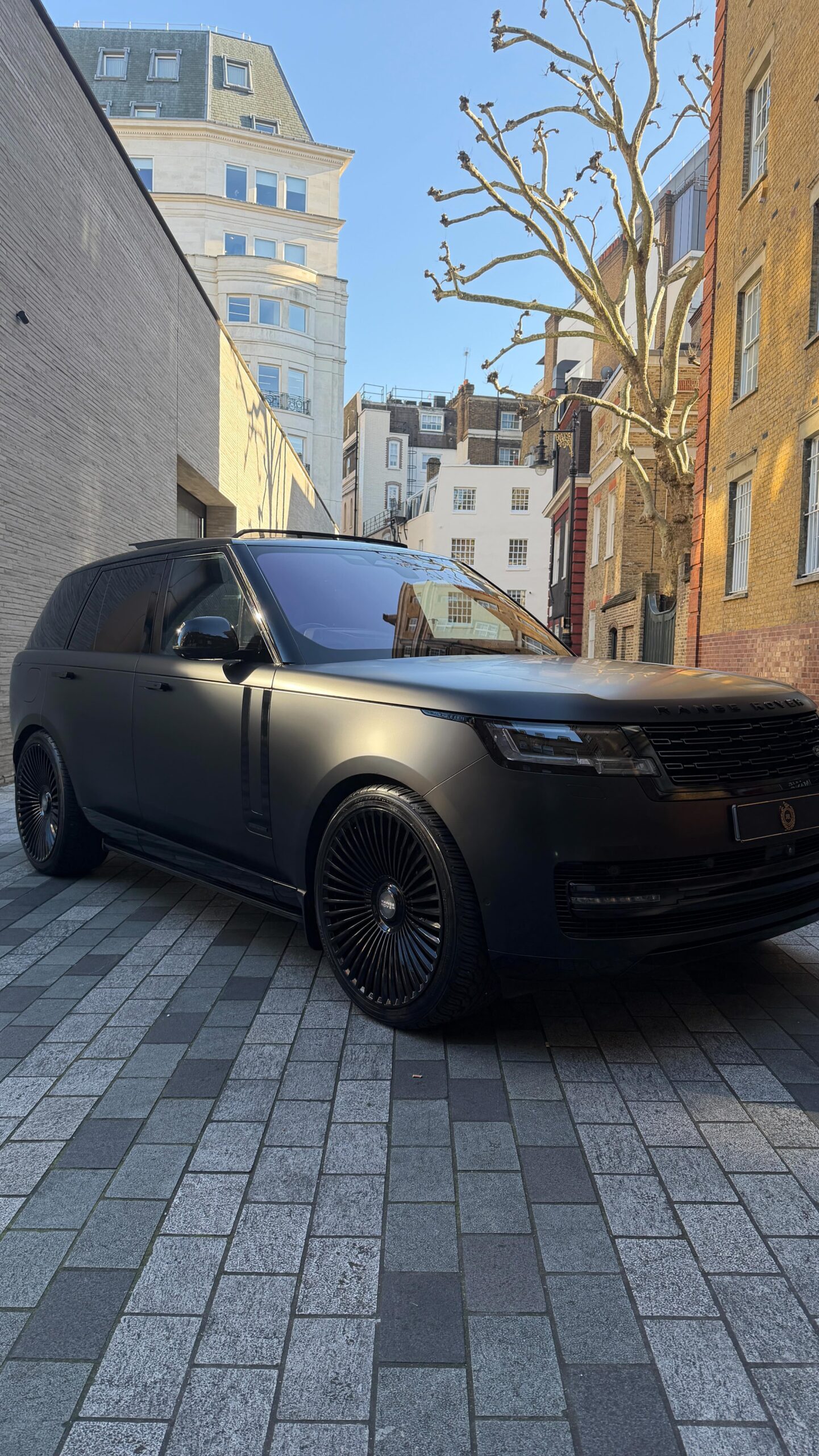 670444581 17936168859208857 7378468377729682548 n scaled