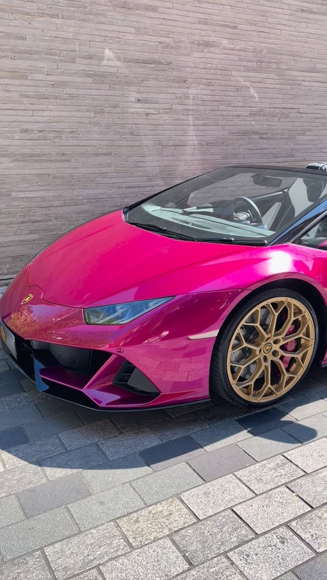 673041588 870575471991218 7288608253066714298 n