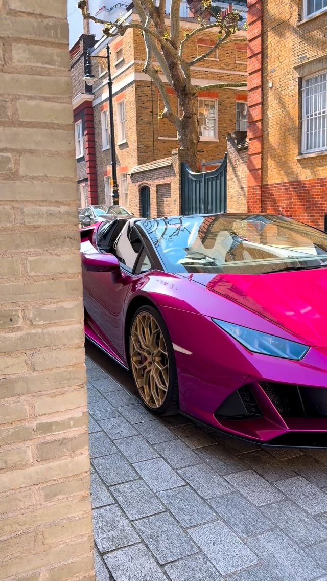 673076671 1659122988365036 6230383878737893921 n