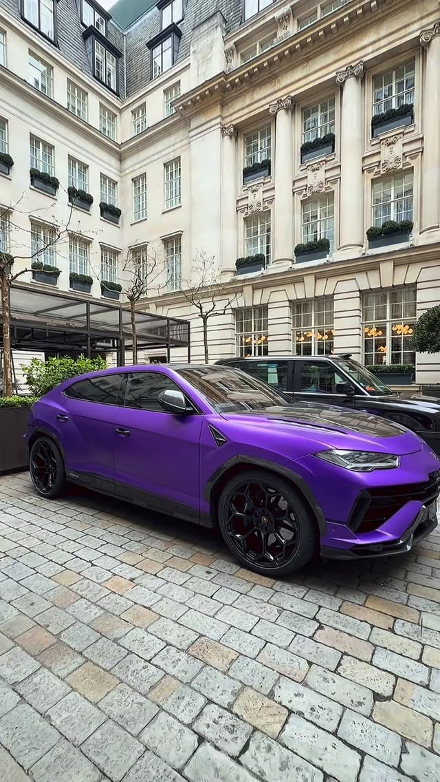 657745856 1566542207777439 9107437075882459371 n